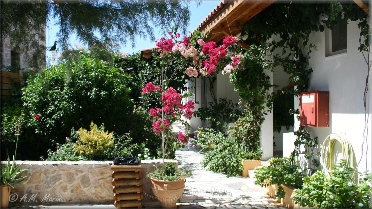 Ampelos Apartment And Studios Xerokampos  Exterior photo